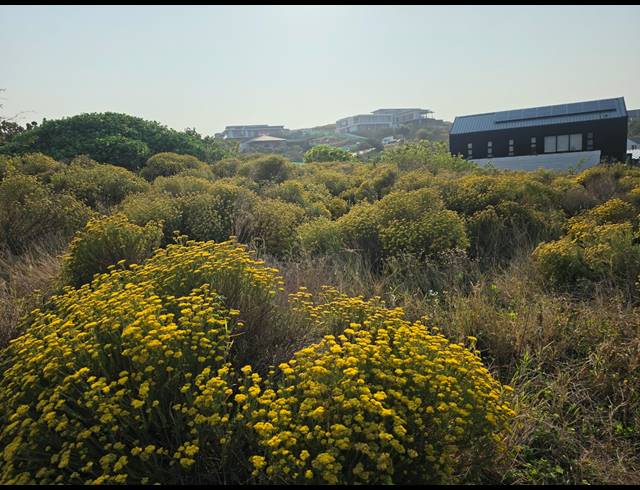 1,516M² VACANT LAND FOR SALE IN ZULULAMI LUXURY COASTAL ESTATE